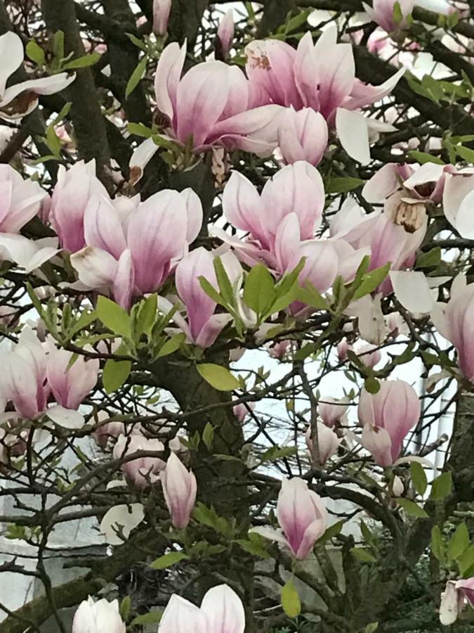 Au 10 Quai Violette Villa แซ็งต์-วาเลรี-ซัวร์-ซอมม์ ภายนอก รูปภาพ